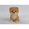 Hi-Line Gifts Sitting Pomeranian Puppy Outdoor Garden Statue - 6"
